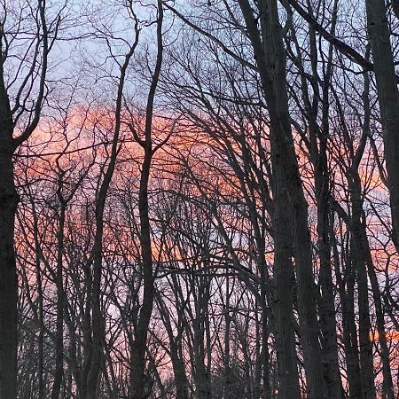 The Sanctuary At Deer Dune , Saugatuck Eksteriør billede