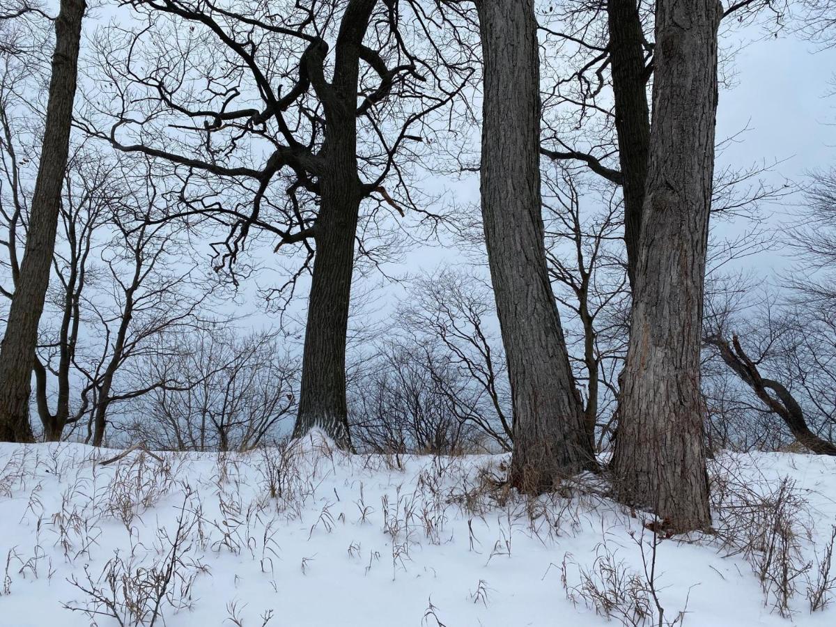 The Sanctuary At Deer Dune , Saugatuck Eksteriør billede