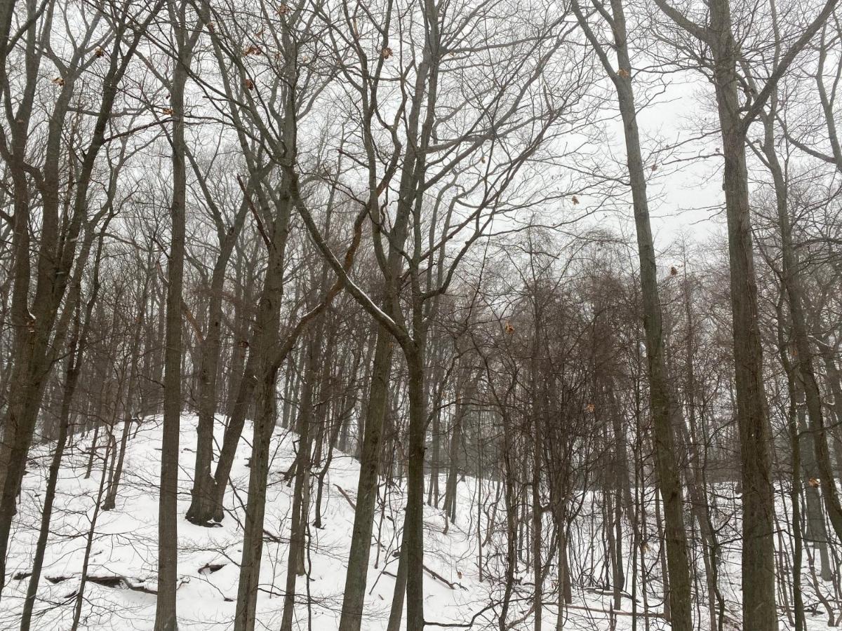 The Sanctuary At Deer Dune , Saugatuck Eksteriør billede